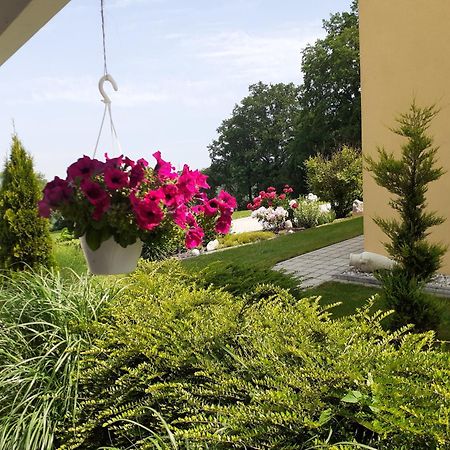 Villa Casa sol-rural residence near Linz Katsdorf Esterno foto